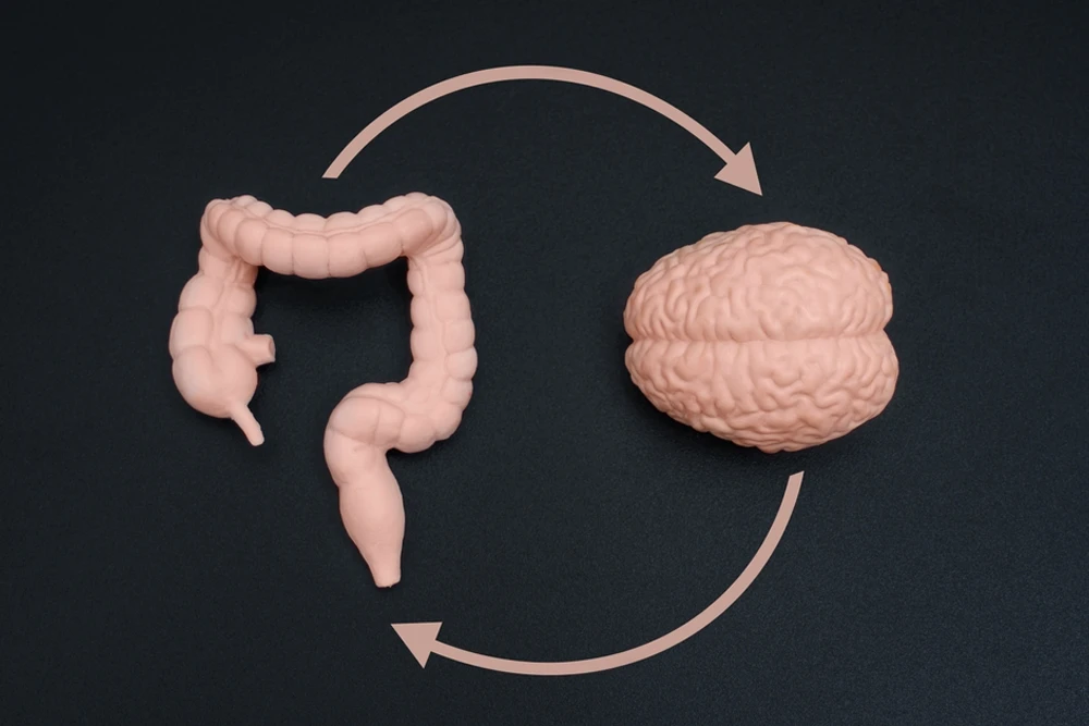 Kronik Stresin Cilt ve Bağırsak Üzerindeki Etkileri