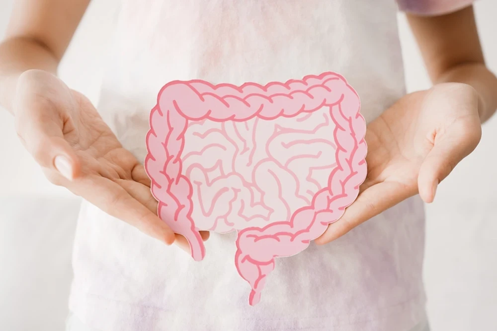 Mikrobiyota Dengeleme